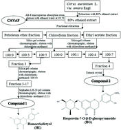 Graphical abstract: Potential roles of dietary flavonoids from Citrus aurantium L. var. amara Engl. in atherosclerosis development