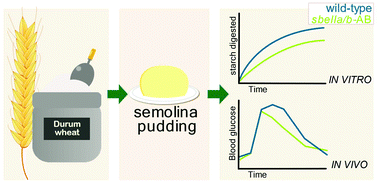 Graphical abstract: Effect of semolina pudding prepared from starch branching enzyme IIa and b mutant wheat on glycaemic response in vitro and in vivo: a randomised controlled pilot study