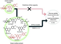 Graphical abstract: Model development for predicting in vitro bio-capacity of green rooibos extract based on composition for application as screening tool in quality control