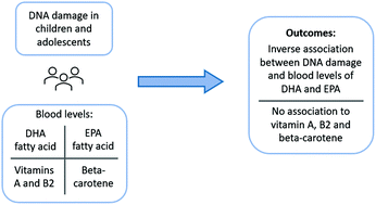 Graphical abstract: DNA damage is inversely associated to blood levels of DHA and EPA fatty acids in Brazilian children and adolescents