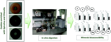 Graphical abstract: In vitro bioaccessibility of minerals from microalgae-enriched cookies