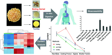 Graphical abstract: Effects of three cooking methods on content changes and absorption efficiencies of carotenoids in maize