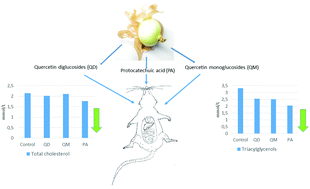 Graphical abstract: Protocatechuic acid and quercetin glucosides in onions attenuate changes induced by high fat diet in rats