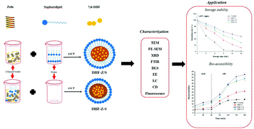 Graphical abstract: Formation, structural characterization, stability and in vitro bioaccessibility of 7,8-dihydroxyflavone loaded zein-/sophorolipid composite nanoparticles: effect of sophorolipid under two blending sequences