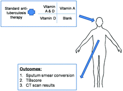 Graphical abstract: Adjunctive vitamin A and D during pulmonary tuberculosis treatment: a randomized controlled trial with a 2 × 2 factorial design