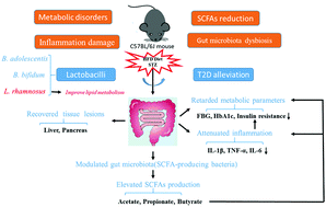 Graphical abstract: Lactic acid bacteria reduce diabetes symptoms in mice by alleviating gut microbiota dysbiosis and inflammation in different manners