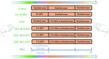 Graphical abstract: Hot-water extract of ripened Pu-erh tea attenuates DSS-induced colitis through modulation of the NF-κB and HIF-1α signaling pathways in mice