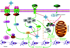 Graphical abstract: Integrated phytochemical analysis based on UHPLC-LTQ–Orbitrap and network pharmacology approaches to explore the potential mechanism of Lycium ruthenicum Murr. for ameliorating Alzheimer's disease