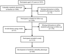 Graphical abstract: Dietary intakes of flavonoids and carotenoids and the risk of developing an unhealthy metabolic phenotype