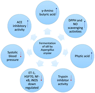 Graphical abstract: Production of GABA-enriched idli with ACE inhibitory and antioxidant properties using Aspergillus oryzae: the antihypertensive effects in spontaneously hypertensive rats