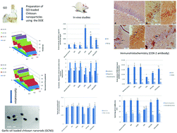 Graphical abstract: Cerebral effect of optimized Allium sativum oil-loaded chitosan nanorods: GC-MS analysis and in vitro/in vivo evaluation