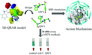 Graphical abstract: Studies on the bioactivities and molecular mechanism of antioxidant peptides by 3D-QSAR, in vitro evaluation and molecular dynamic simulations