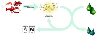 Graphical abstract: Functionalized chitosan adsorbents allow recovery of palladium and platinum from acidic aqueous solutions