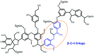 Graphical abstract: Oxidative cleavage of β-O-4 bonds in lignin model compounds with a single-atom Co catalyst