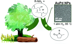 Graphical abstract: Reductive amination of ethyl levulinate to pyrrolidones over AuPd nanoparticles at ambient hydrogen pressure
