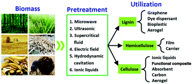 Graphical abstract: Cascade utilization of lignocellulosic biomass to high-value products