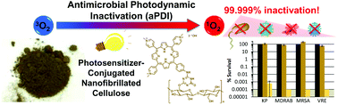 Graphical abstract: A facile strategy for photoactive nanocellulose-based antimicrobial materials