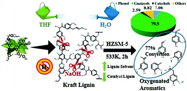 Graphical abstract: Thermocatalytic depolymerization of kraft lignin to guaiacols using HZSM-5 in alkaline water–THF co-solvent: a realistic approach