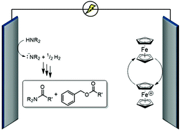Graphical abstract: Electrochemical anion pool synthesis of amides with concurrent benzyl ester synthesis