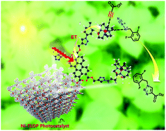 Graphical abstract: Highly regioselective and sustainable solar click reaction: a new post-synthetic modified triazole organic polymer as a recyclable photocatalyst for regioselective azide–alkyne cycloaddition reaction