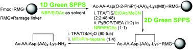 Graphical abstract: 2D green SPPS: green solvents for on-resin removal of acid sensitive protecting groups and lactamization