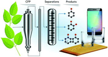 Graphical abstract: Valorization of aqueous waste streams from thermochemical biorefineries