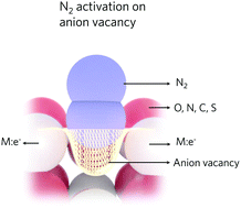 Graphical abstract: Anion (O, N, C, and S) vacancies promoted photocatalytic nitrogen fixation