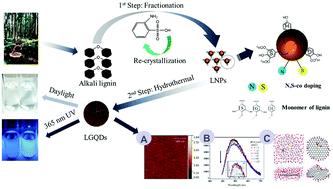 Graphical abstract: Direct transformation of lignin into fluorescence-switchable graphene quantum dots and their application in ultrasensitive profiling of a physiological oxidant