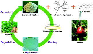 Graphical abstract: Tough, strong, and biodegradable composite film with excellent UV barrier performance comprising soy protein isolate, hyperbranched polyester, and cardanol derivative