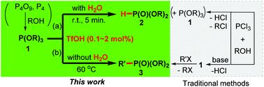 Graphical abstract: Water determines the products: an unexpected Brønsted acid-catalyzed PO–R cleavage of P(iii) esters selectively producing P(O)–H and P(O)–R compounds