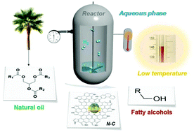 Graphical abstract: Highly selective and low-temperature hydrothermal conversion of natural oils to fatty alcohols