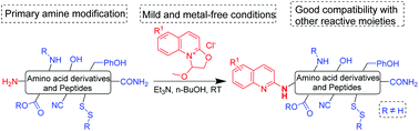 Graphical abstract: Metal-free quinolylation of the primary amino groups of amino acid derivatives and peptides with dihydrooxazolo[3,2-a]quinoliniums