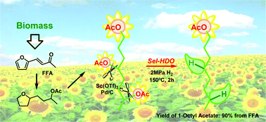 Graphical abstract: Selective hydrodeoxygenation of biomass-derived furfural-acetone to prepare 1-octyl acetate