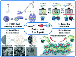 Graphical abstract: Zwitterionic amphiphiles: their aggregation behavior and applications