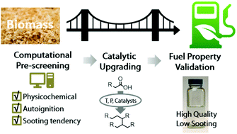 Graphical abstract: Tailoring diesel bioblendstock from integrated catalytic upgrading of carboxylic acids: a “fuel property first” approach