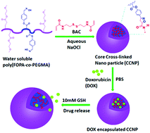 Graphical abstract: A copper-free click reaction for the synthesis of redox-responsive water-soluble core cross-linked nanoparticles for drug delivery in cancer therapy