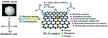 Graphical abstract: Biomass-derived phosphorus-doped carbon materials as efficient metal-free catalysts for selective aerobic oxidation of alcohols