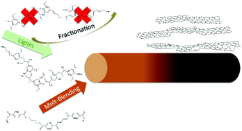 Graphical abstract: Carbon fibres from renewable resources: the role of the lignin molecular structure in its blendability with biobased poly(ethylene terephthalate)