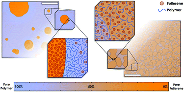 Graphical abstract: Unravelling donor–acceptor film morphology formation for environmentally-friendly OPV ink formulations