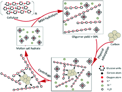 Graphical abstract: Production of high-yield short-chain oligomers from cellulose via selective hydrolysis in molten salt hydrates and separation