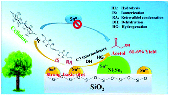 Graphical abstract: Highly efficient catalytic conversion of cellulose into acetol over Ni–Sn supported on nanosilica and the mechanism study