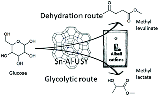 Graphical abstract: Sn–Al-USY for the valorization of glucose to methyl lactate: switching from hydrolytic to retro-aldol activity by alkaline ion exchange