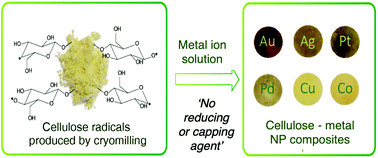 Graphical abstract: A sustainable preparation of catalytically active and antibacterial cellulose metal nanocomposites via ball milling of cellulose