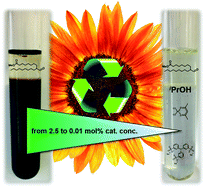 Graphical abstract: Aqueous biphasic hydroformylation of methyl oleate: a green solvent-only strategy for homogeneous catalyst recycling