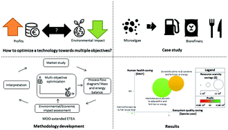 Graphical abstract: A multi-objective optimization-extended techno-economic assessment: exploring the optimal microalgal-based value chain