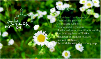 Graphical abstract: Synthesis of water-soluble, fully biobased cellulose levulinate esters through the reaction of cellulose and alpha-angelica lactone in a DBU/CO2/DMSO solvent system