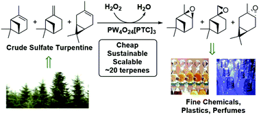 Graphical abstract: Sustainable catalytic protocols for the solvent free epoxidation and anti-dihydroxylation of the alkene bonds of biorenewable terpene feedstocks using H2O2 as oxidant