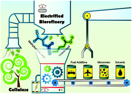Graphical abstract: (Non-)Kolbe electrolysis in biomass valorization – a discussion of potential applications
