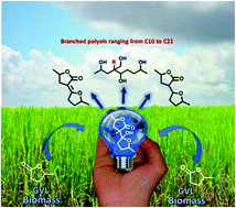 Graphical abstract: Synthesis of long-chain polyols from the Claisen condensation of γ-valerolactone