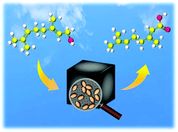 Graphical abstract: Gas-phase bioproduction of a high-value-added monoterpenoid (E)-geranic acid by metabolically engineered Acinetobacter sp. Tol 5